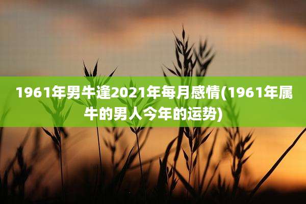 1961年男牛逢2021年每月感情(1961年属牛的男人今年的运势)