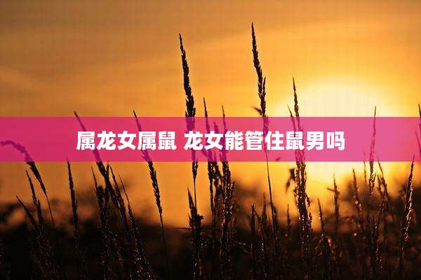 属龙女属鼠 龙女能管住鼠男吗
