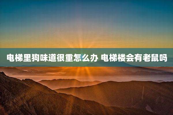 电梯里狗味道很重怎么办 电梯楼会有老鼠吗