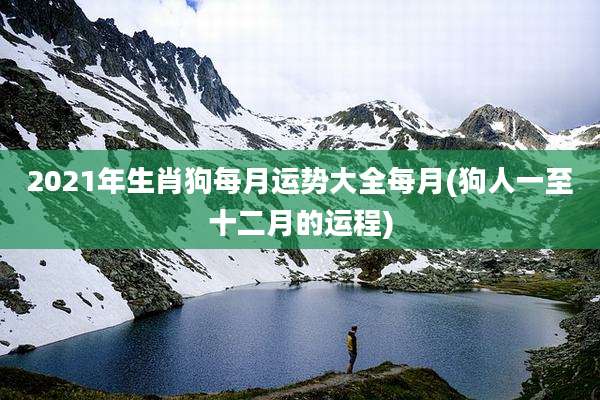 2021年生肖狗每月运势大全每月(狗人一至十二月的运程)