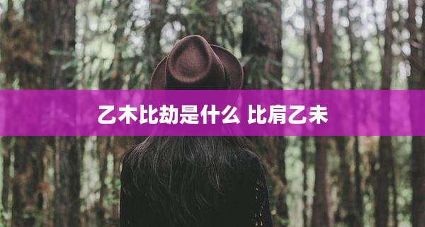 乙木比劫是什么 比肩乙未
