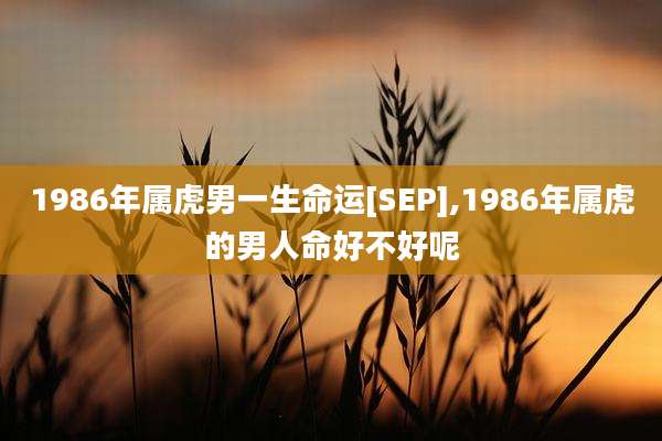 1986年属虎男一生命运[SEP],1986年属虎的男人命好不好呢