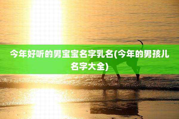 今年好听的男宝宝名字乳名(今年的男孩儿名字大全)