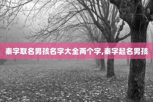 秦字取名男孩名字大全两个字,秦字起名男孩