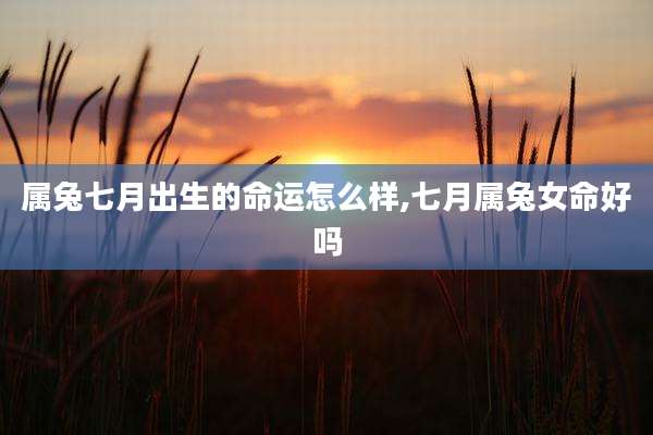 属兔七月出生的命运怎么样,七月属兔女命好吗