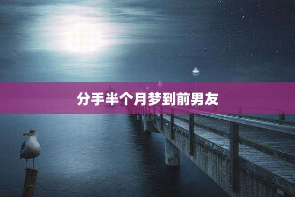 分手半个月梦到前男友
