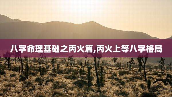 八字命理基础之丙火篇,丙火上等八字格局