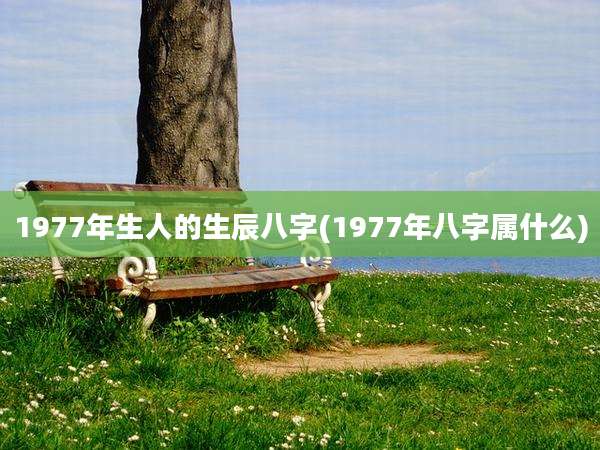 1977年生人的生辰八字(1977年八字属什么)