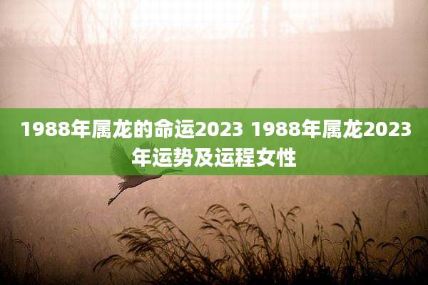 1988年属龙的命运2023 1988年属龙2023年运势及运程女性