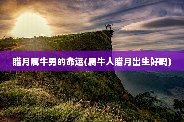 腊月属牛男的命运(属牛人腊月出生好吗)