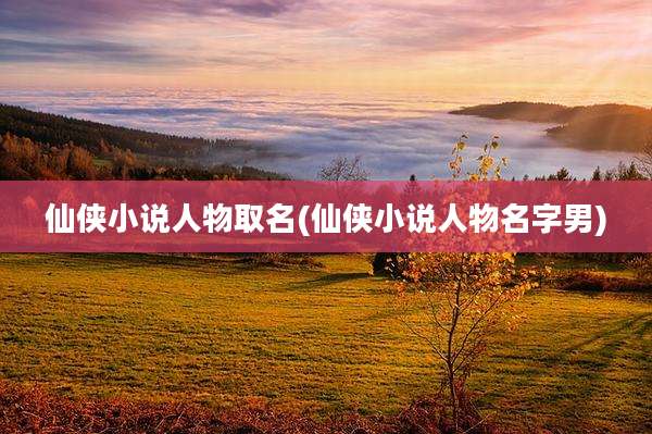 仙侠小说人物取名(仙侠小说人物名字男)