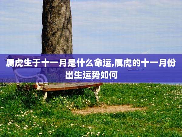 属虎生于十一月是什么命运,属虎的十一月份出生运势如何