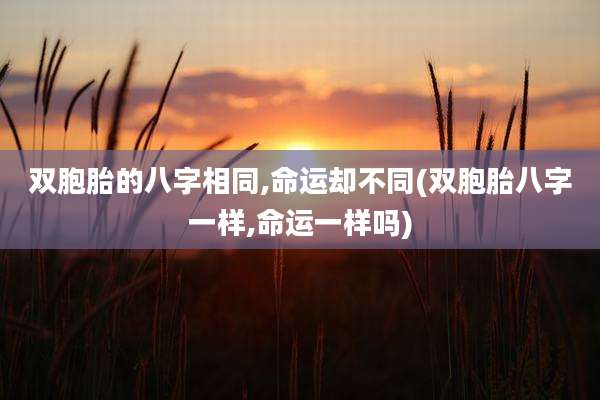 双胞胎的八字相同,命运却不同(双胞胎八字一样,命运一样吗)
