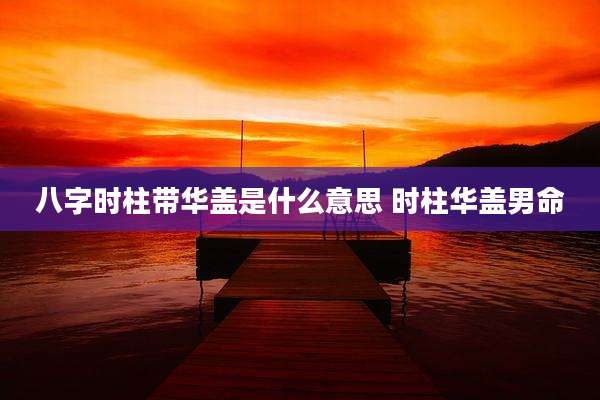 八字时柱带华盖是什么意思 时柱华盖男命