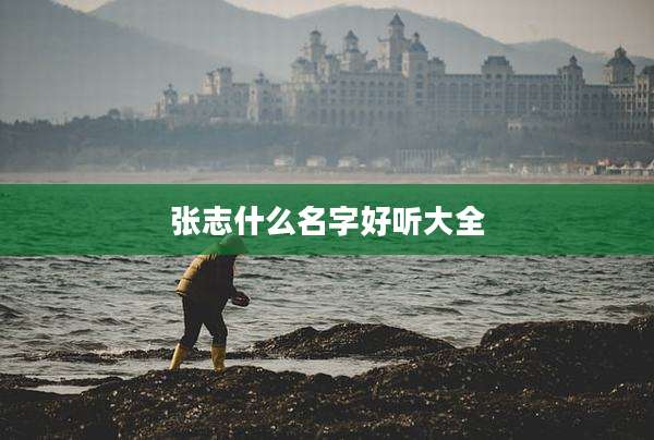 张志什么名字好听大全