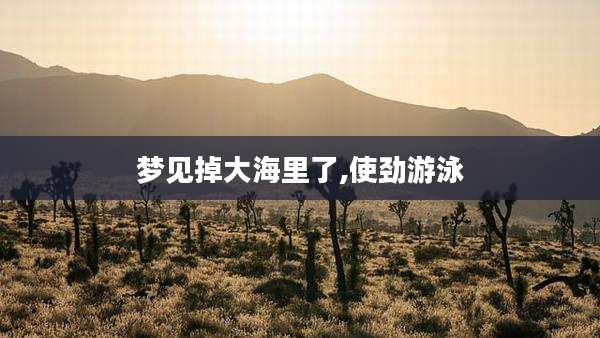 梦见掉大海里了,使劲游泳