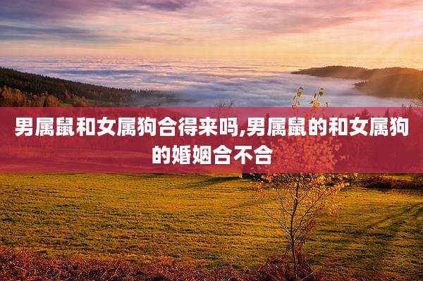 男属鼠和女属狗合得来吗,男属鼠的和女属狗的婚姻合不合