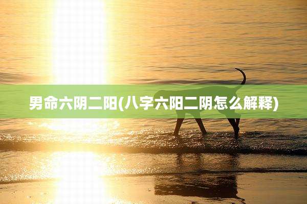 男命六阴二阳(八字六阳二阴怎么解释)