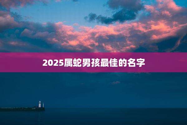 2025属蛇男孩最佳的名字