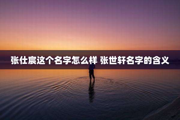 张仕宸这个名字怎么样 张世轩名字的含义