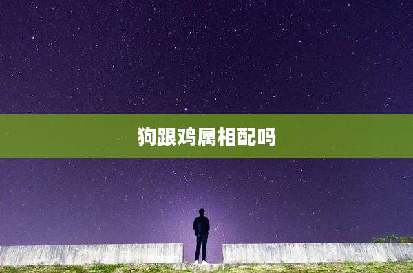 狗跟鸡属相配吗