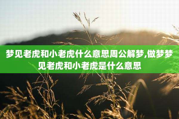 梦见老虎和小老虎什么意思周公解梦,做梦梦见老虎和小老虎是什么意思