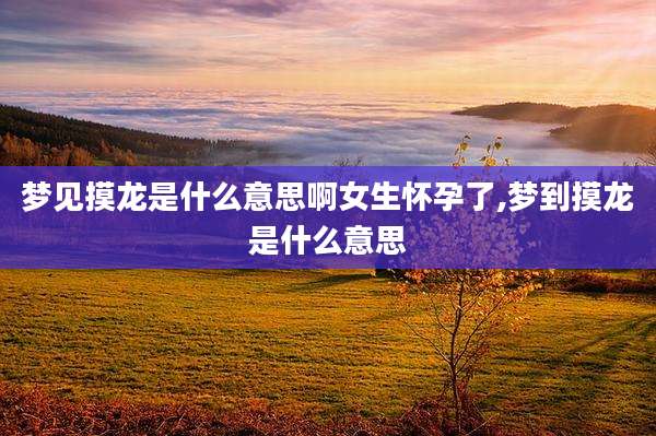 梦见摸龙是什么意思啊女生怀孕了,梦到摸龙是什么意思