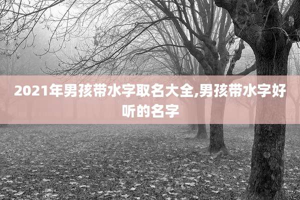 2021年男孩带水字取名大全,男孩带水字好听的名字