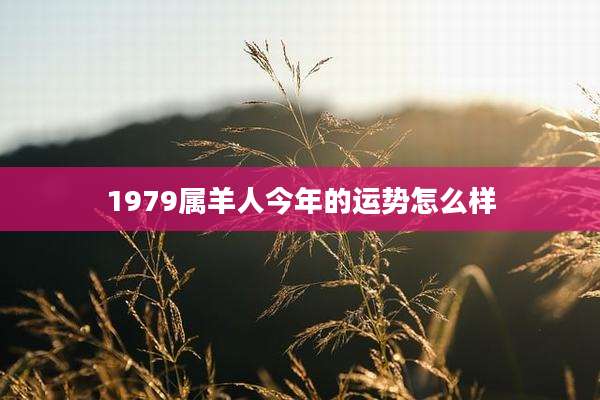 1979属羊人今年的运势怎么样