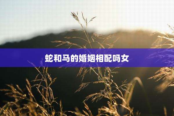 蛇和马的婚姻相配吗女