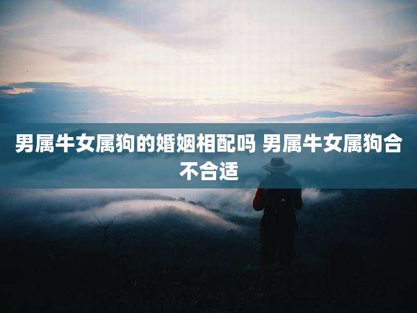 男属牛女属狗的婚姻相配吗 男属牛女属狗合不合适