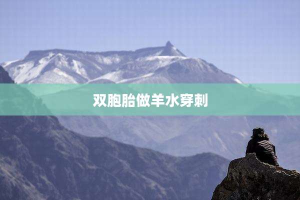双胞胎做羊水穿刺