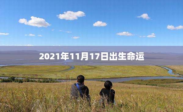 2021年11月17日出生命运