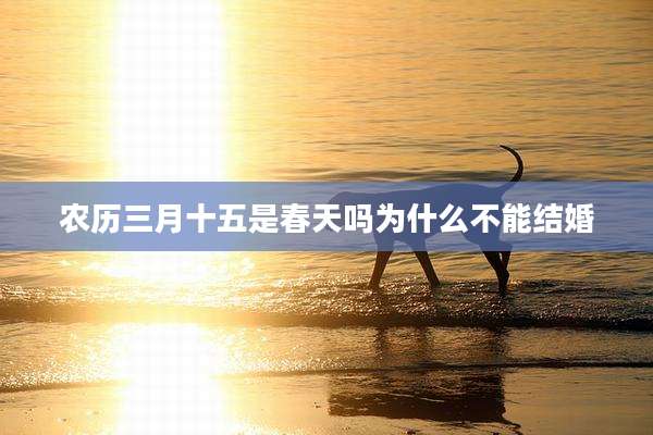 农历三月十五是春天吗为什么不能结婚