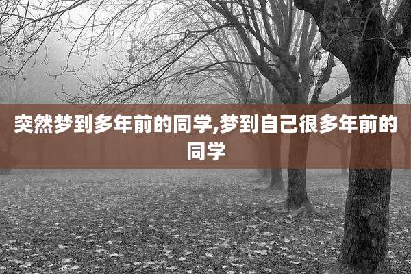 突然梦到多年前的同学,梦到自己很多年前的同学