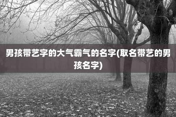 男孩带艺字的大气霸气的名字(取名带艺的男孩名字)