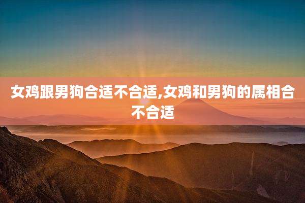 女鸡跟男狗合适不合适,女鸡和男狗的属相合不合适