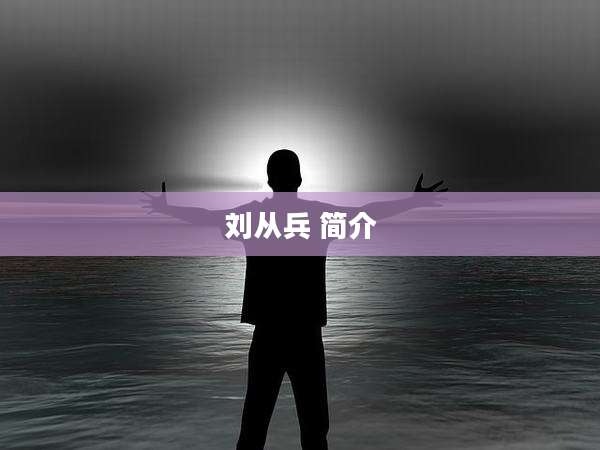 刘从兵 简介