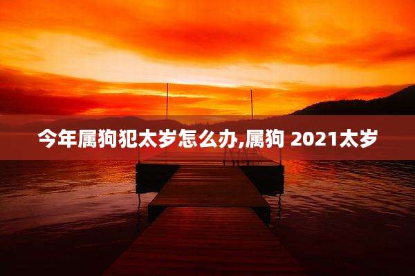 今年属狗犯太岁怎么办,属狗 2021太岁