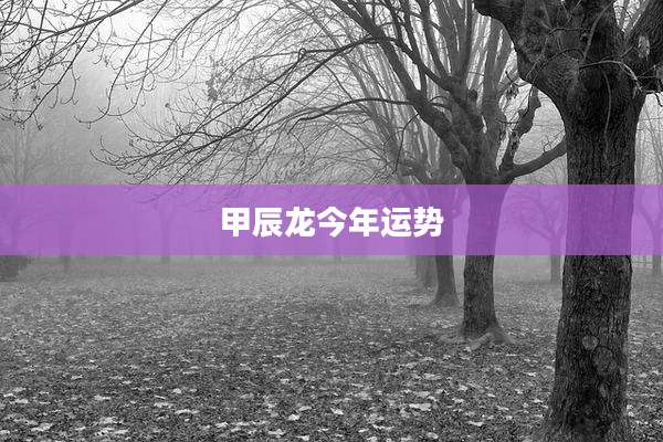 甲辰龙今年运势