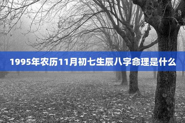 1995年农历11月初七生辰八字命理是什么