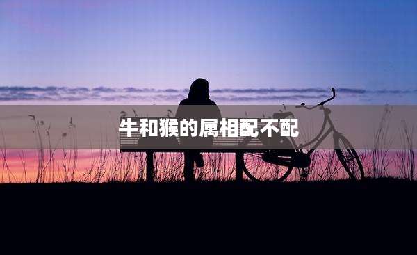 牛和猴的属相配不配