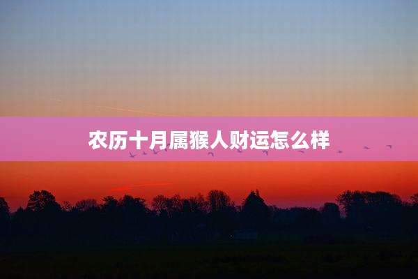 农历十月属猴人财运怎么样