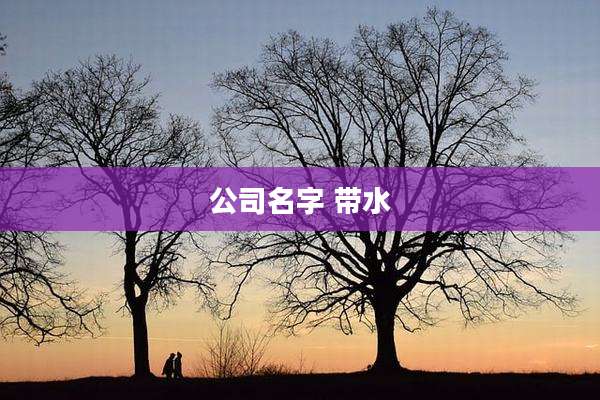 公司名字 带水