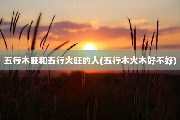 五行木旺和五行火旺的人(五行木火木好不好)
