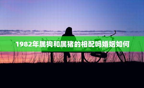 1982年属狗和属猪的相配吗婚姻如何