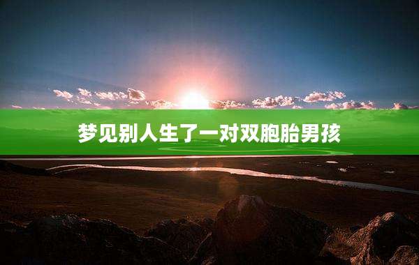 梦见别人生了一对双胞胎男孩