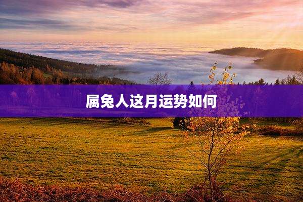 属兔人这月运势如何