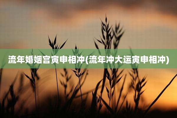 流年婚姻宫寅申相冲(流年冲大运寅申相冲)