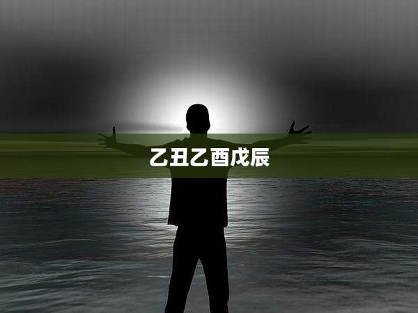 乙丑乙酉戊辰